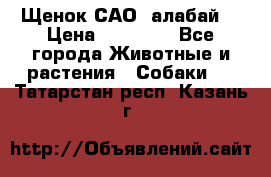 Щенок САО (алабай) › Цена ­ 10 000 - Все города Животные и растения » Собаки   . Татарстан респ.,Казань г.